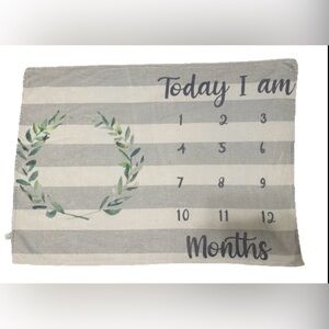 Striped Gray and White Milestone Blanket